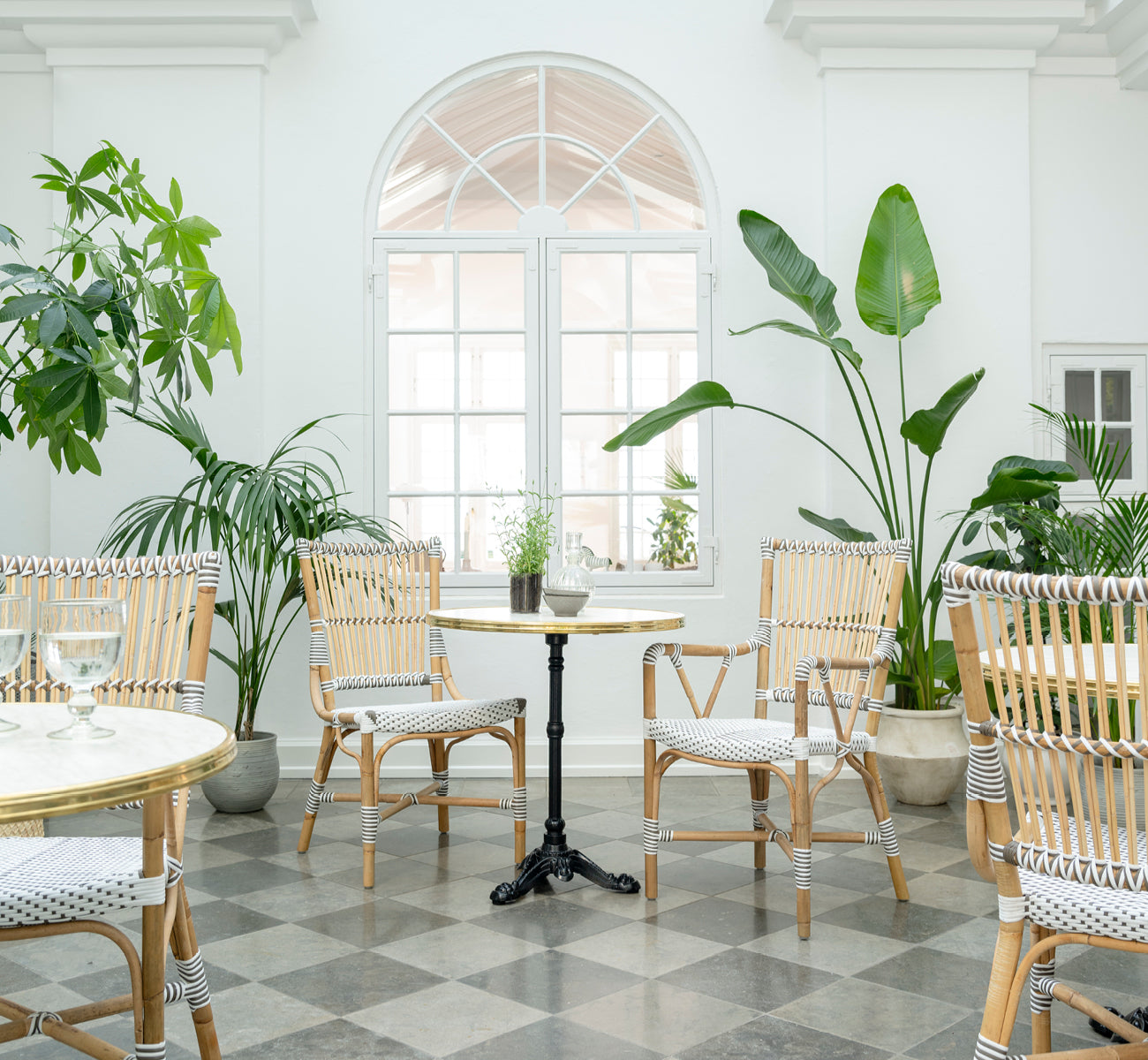 This is a lifestyle image of Monique Dining Chair in white w cappuccino dot artfibre skin on rattan frame. Styled in a bright interior setting.