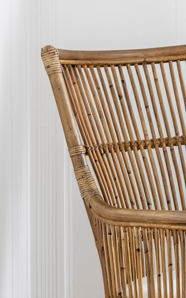 This is a close-up image of Davinci Dining Chair in antique rattan.