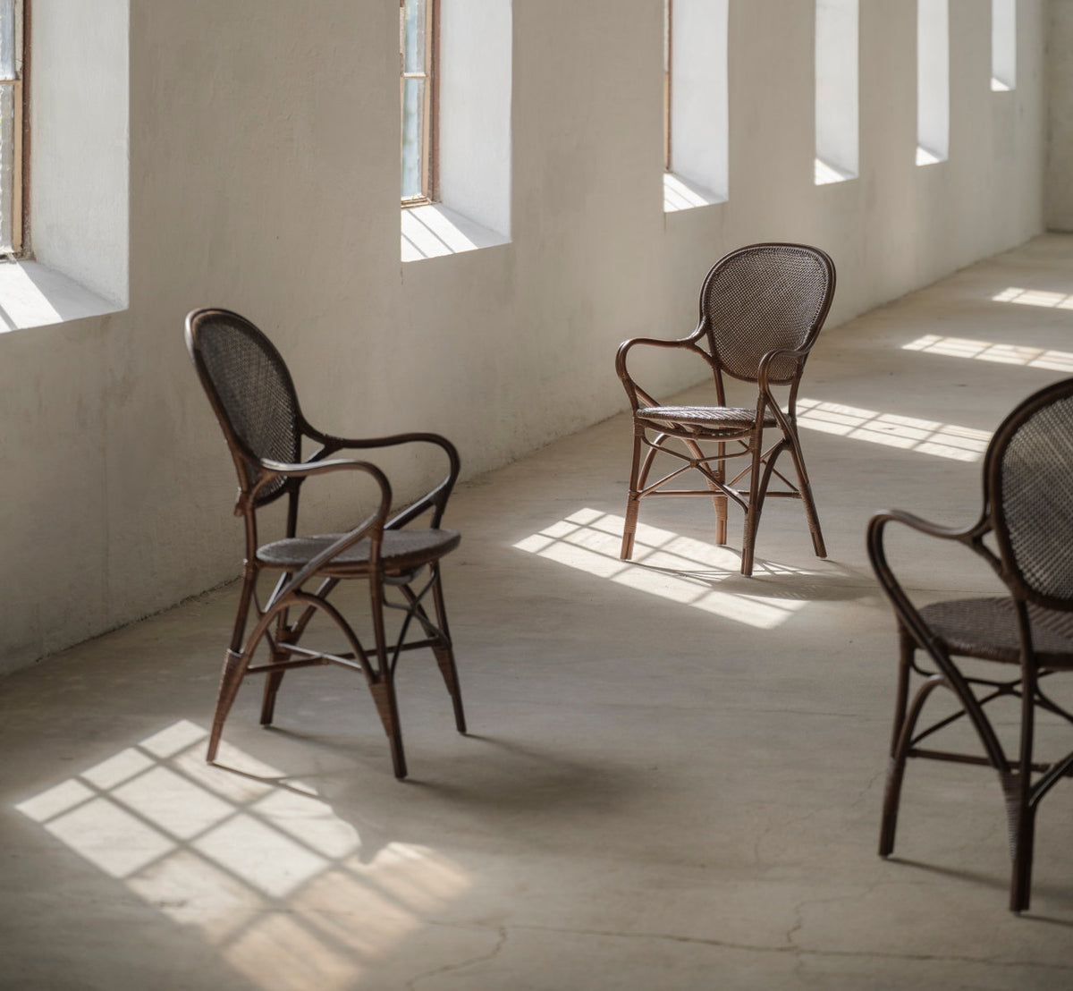 This is a lifestyle image of Rossini Dining Armchair in brown rattan. Chairs in a sunlit room with concrete floor.