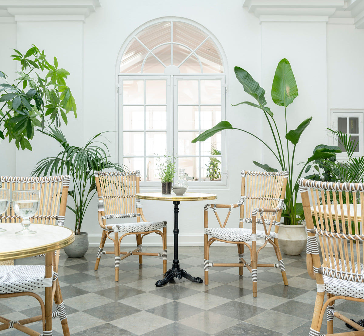 This is a lifestyle image of Monique Dining Chair in white w cappuccino dot artfibre skin on rattan frame. Styled in a bright interior setting.