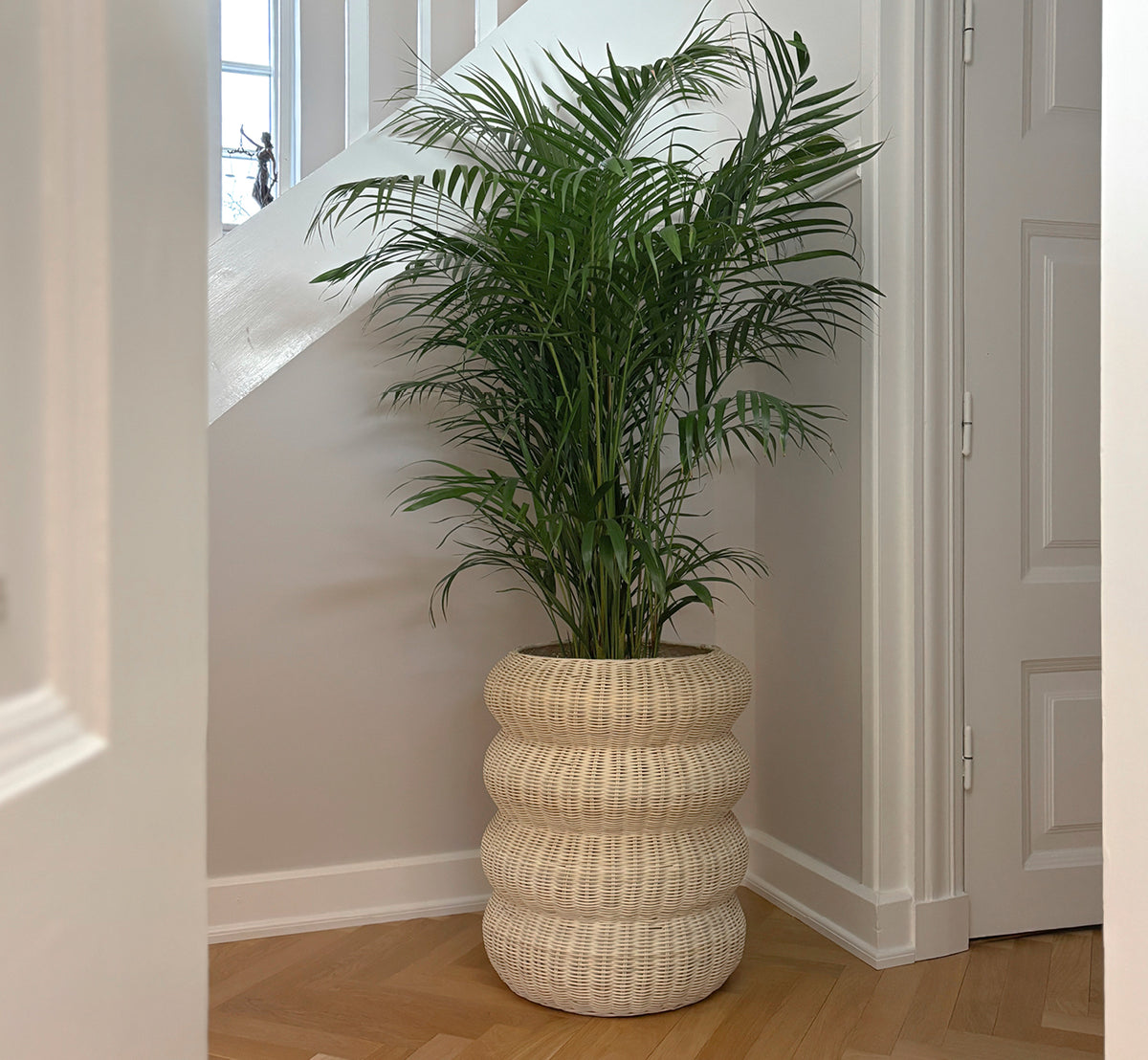 This is a lifestyle image of Mel Basket in natural core weave rattan frame. On herringbone floor in a bright paneled hallway.