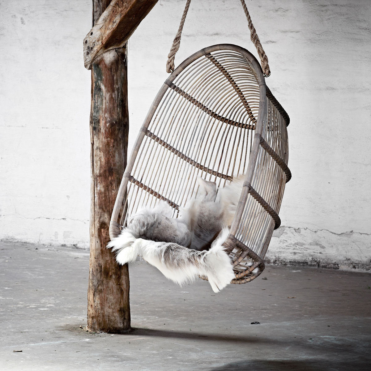 Renoir Hanging Chair